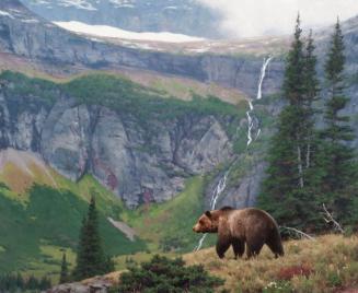 Below Grinnell Glacier