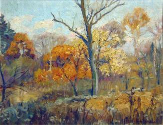 Fall Landscape