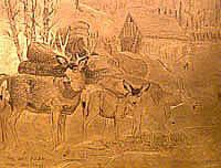 Untitled (Mule Deer)