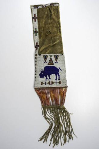 Pictographic Pipe Bag with Buffaloes