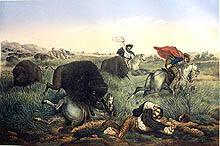 Chasse aux Bisons (Amerique)