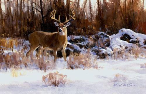 Buck Deer in Snowy Woods