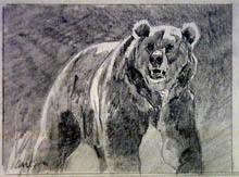 Untitled Bear Sketch