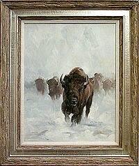 Winter Buffalo