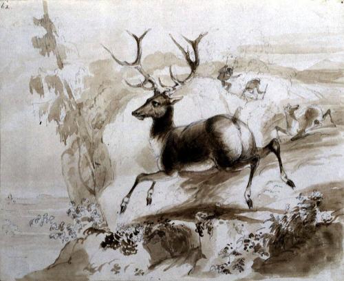 Death of the Elk