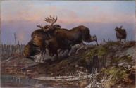 Courtesy Private Collection