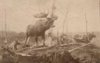 Rungius Studio Photograph, Courtesy Glenbow