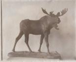 Rungius Studio Photograph, Courtesy Glenbow