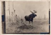 Rungius Studio Photograph, Courtesy Glenbow