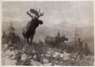 Rungius Studio Photograph, Courtesy Glenbow