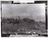 Rungius Studio Photograph, Courtesy Glenbow