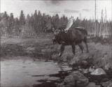 Rungius Studio Photograph, Courtesy Glenbow (detail)