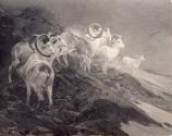 Rungius Studio Photograph #2, Courtesy Glenbow