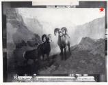 Rungius Studio Photograph, Courtesy Glenbow
