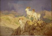 Courtesy Glenbow