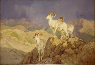 Courtesy Glenbow