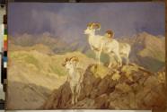 Courtesy Glenbow