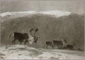 Courtesy of The Frick Collection/Frick Art Research Library Archives