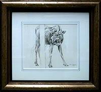 Untitled - Cow Moose