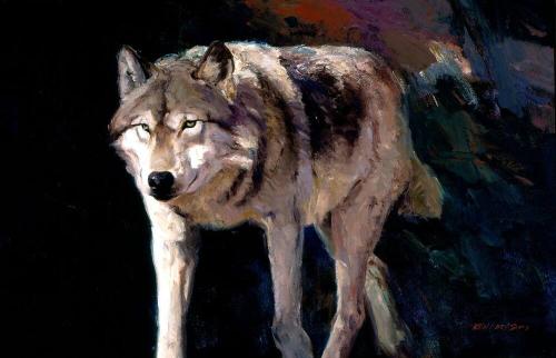 Wolf