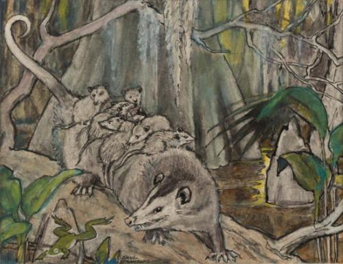 Opossum Family
