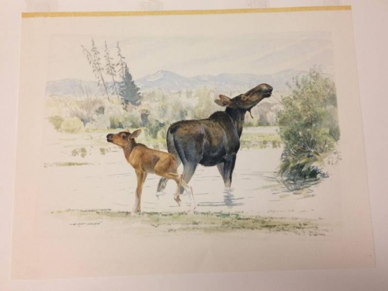 Moose with Young – Works – eMuseum