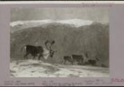 Courtesy of The Frick Collection/Frick Art Research Library Archives