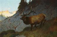 Courtesy Jackson Hole Art Auction