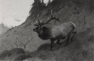 Courtesy of The Frick Collection/Frick Art Research Library Archives