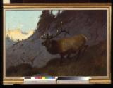 Courtesy J. N. Bartfield Galleries