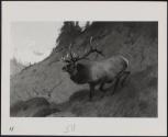 Courtesy of The Frick Collection/Frick Art Research Library Archives