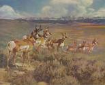 Courtesy of The Frick Collection/Frick Art Research Library Archives