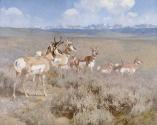Courtesy Glenbow 