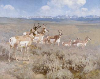 Courtesy Glenbow 