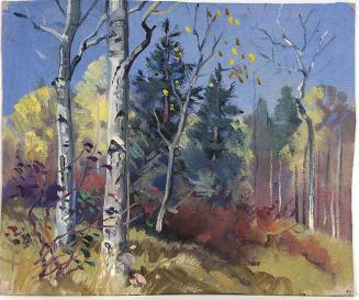 Fall Landscape
