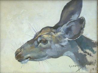 Doe