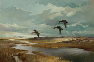 The Farm Marsh - Mallards