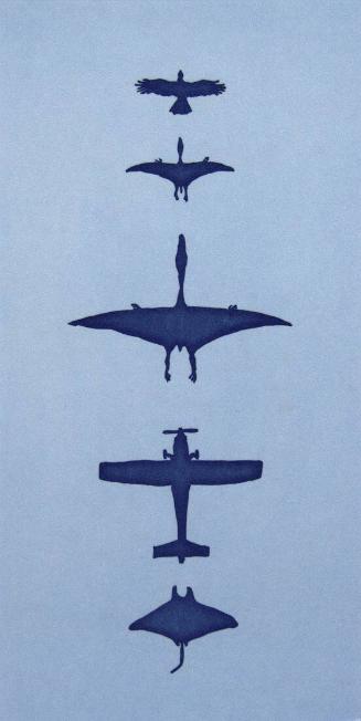 Flight