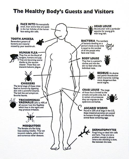 The Healthy Host