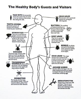 The Healthy Host