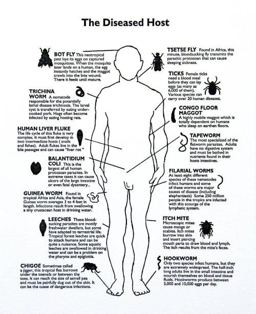 The Diseased Host