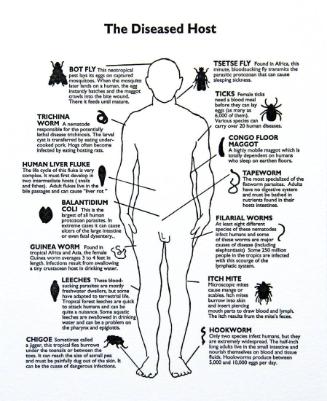 The Diseased Host