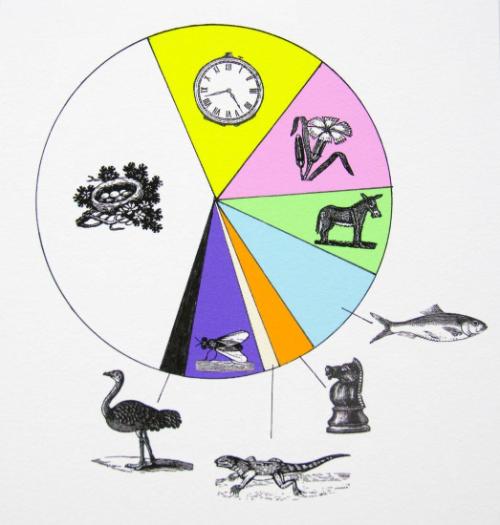 Pie Chart