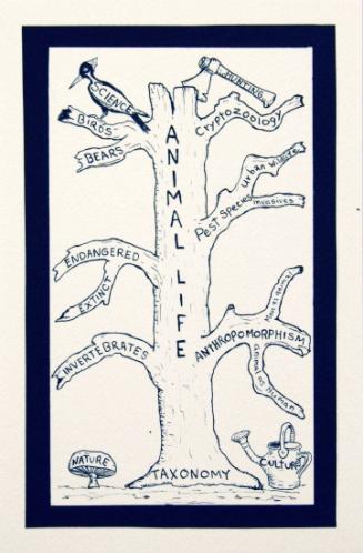 Animal Life
