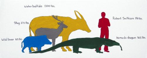 Weight of Animals