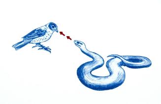Serpent Hypnosis