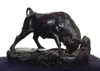 Bull