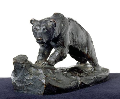 Bear