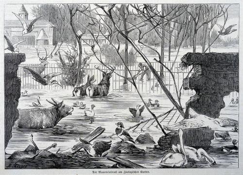 The Flood at the Zoo