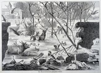 The Flood at the Zoo